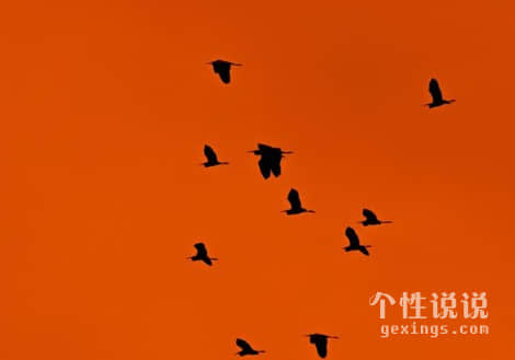 句句极致一句比一句现实的励志说说（78条）