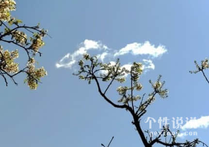 自信有个性的励志说说（47条）