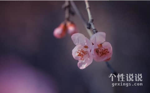 2019深入人心的励志说说（53条）