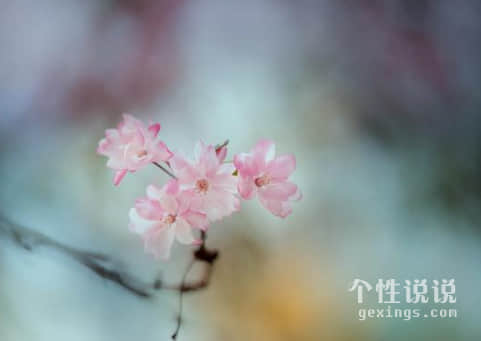 自勉有内涵的励志说说（44条）