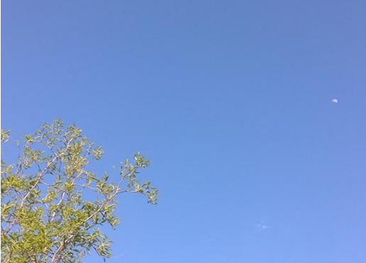 影响一生心灵鸡汤的励志说说（39条）