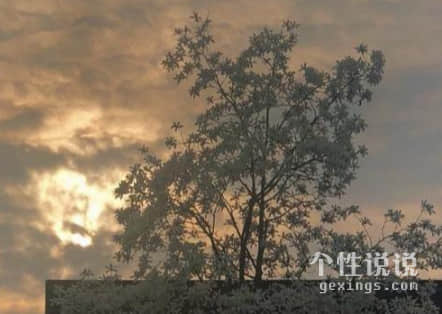 暖心正能量的励志说说（46条）