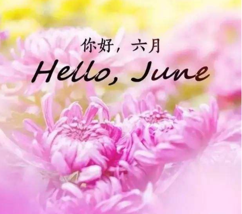 六月你好_六月励志语录（39句）