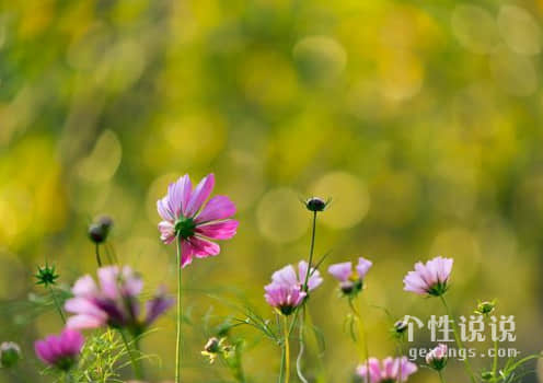 简短霸气的励志说说（54条）