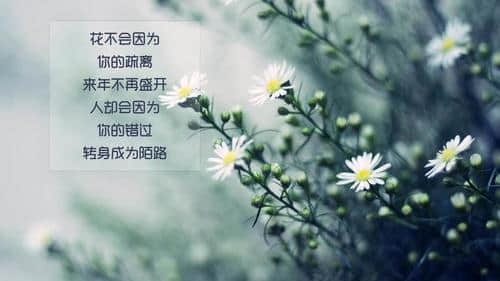 励志说说心情短语 阳光正能量语录（80条）