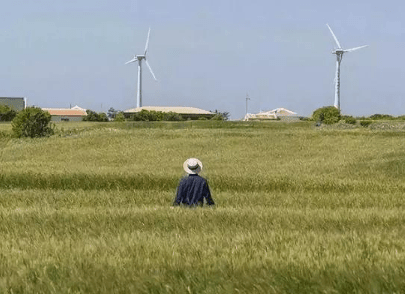 成熟的心情短语：你不理我。我也不会多说。你讽刺我。我就一笑而