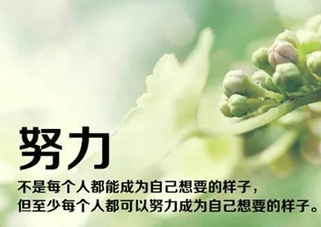 适合微信精选励志说说配图  如果暂时没有更好的出路。请选择努力！