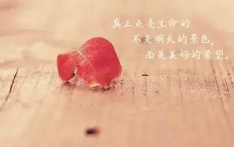 简短文字配图适合发朋友圈的心情短语：因为孤独是生命常态 所以