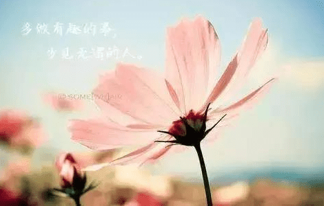 简短文字配图适合发朋友圈的心情短语：因为孤独是生命常态 所以
