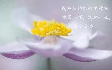 简短文字配图适合发朋友圈的心情短语：因为孤独是生命常态 所以