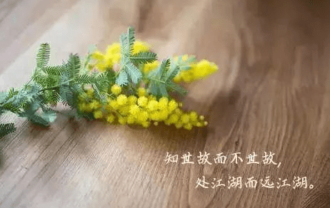 简短文字配图适合发朋友圈的心情短语：因为孤独是生命常态 所以