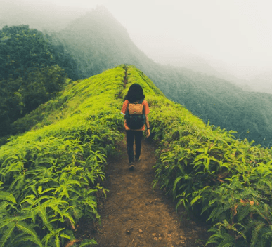 送给遭受挫折的你励志语录2019：在不利与艰苦的遭遇里百折不挠