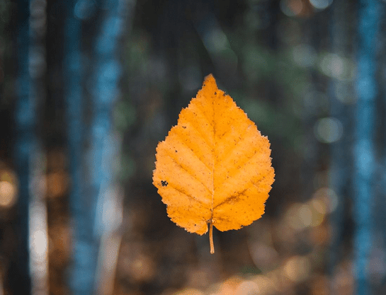2018激励人心的励志说说：为了以后好好偷懒。现在要认真努力