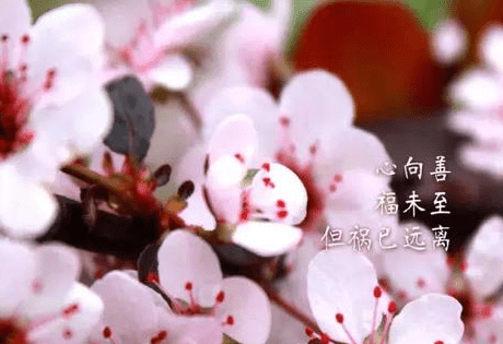 有哲理的心情短语：只要把心情变一变。世界就完全不一样了