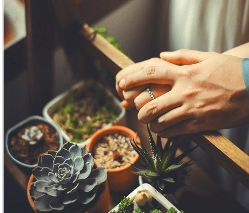 伤感的心情短语：一杯敬你漫不经心,一杯敬我自作多情