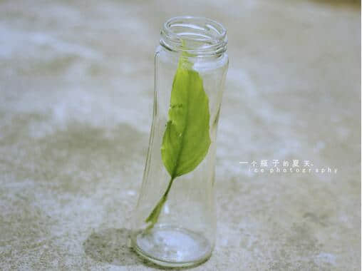 最怕你不够聪明。却还在纸上谈兵