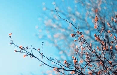 朋友圈有深意的心情短语：与其讨好别人,不如武装自己