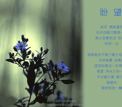 怒对别人的心情短语大全：你可以高估你的手段,但请你别低估我的