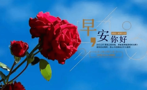 在爱情中受伤的励志说说：愿从今往后的你,别爱的太满,别睡得太晚