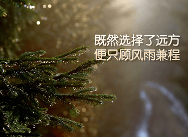 适合发朋友圈的励志最新语录：不要浪费你的生命,在你一定会后悔