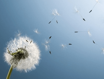 励志说说2018最经典：学的到东西的事情是锻炼,学不到的是磨练