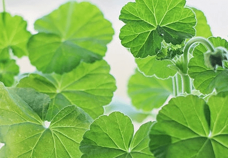 2018最经典的励志说说：世界上只有想不通的人没有走不通的路