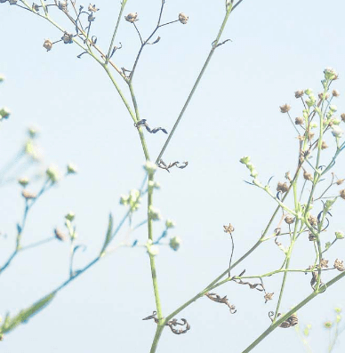 伤感说说心情短语大全！