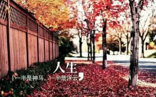 明天。方向