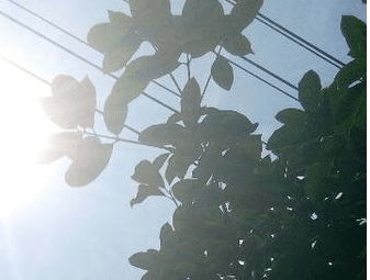  你当我是个风筝。要那就把我放了。或者收好带回家