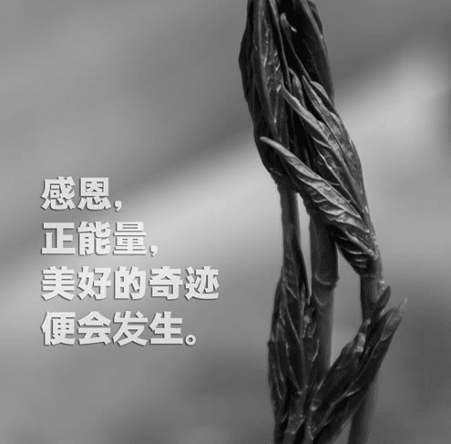 2018年看清身边人的短语、句子！