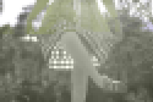 人工降雨