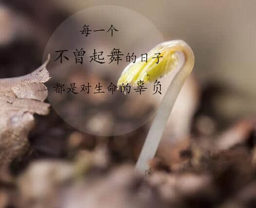 做个干净也洒脱的人。往事不记后事不提。