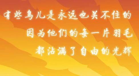 一些伤口之所以总会痛。那是因为你总是去摸