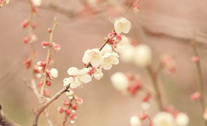 放弃也是一种选择。放弃不代表无能。而是因为有了更好的选择