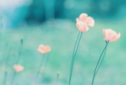 自从她和他分开后。她整日失眠
