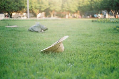 感悟人生语录大全