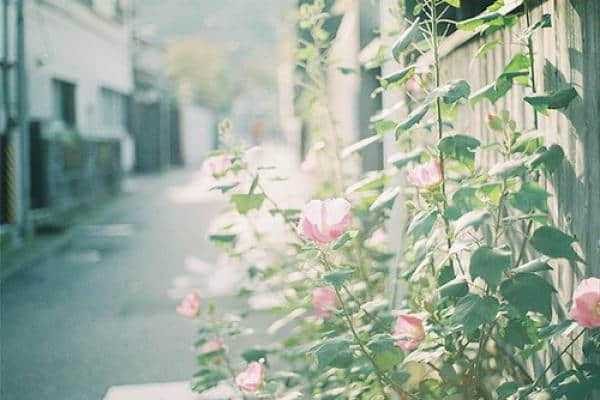 你希望是男孩还是女孩