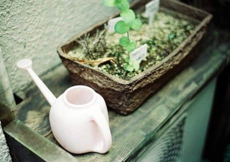 说说心情短语带图片