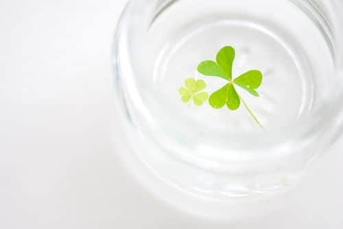 经典爱情短语 我们大家都要好好的。永远都要好好的