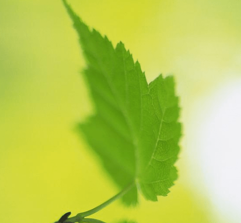 卑微心痛的伤感说说（53条）