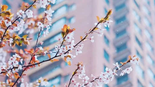 2019年最新致自己的心情说说人生感悟