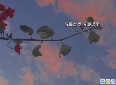 深情催泪的伤感说说 抖音精选伤感爱情句子2