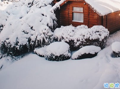 朋友圈晒雪景的句子带图片 下雪说说唯美简短配图3