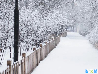 朋友圈晒雪景的句子带图片 下雪说说唯美简短配图12