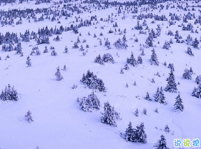 朋友圈晒雪景的句子带图片 下雪说说唯美简短配图2