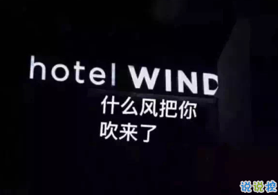 宝藏女孩专属甜句超级温柔 所有动听的话配上实际行动才有意义13
