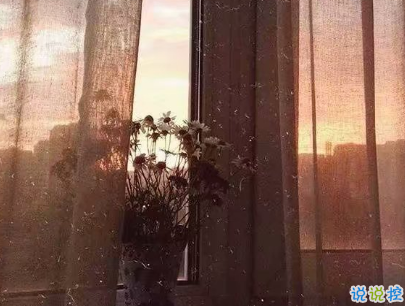 微博文艺小短句带图片 小众且好听的微博句子14