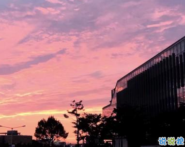描写春天的唯美句子带图片 2019适合春天的微信说说句子10