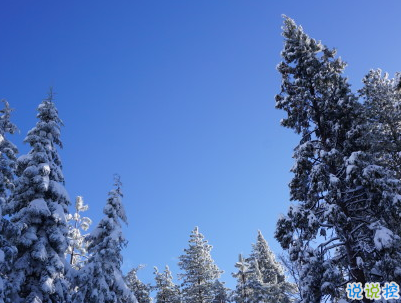 下雪天朋友圈唯美说说配图 下雪了说说简短一句话11