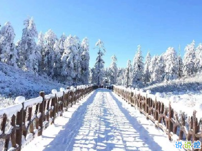 2020下雪天朋友圈文案带图片 雪景说说唯美浪漫4